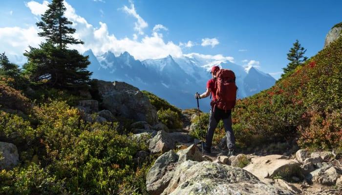 Train for Your Own Adventure
